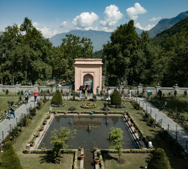 pexels-amanjot-singh-311045324-16750411