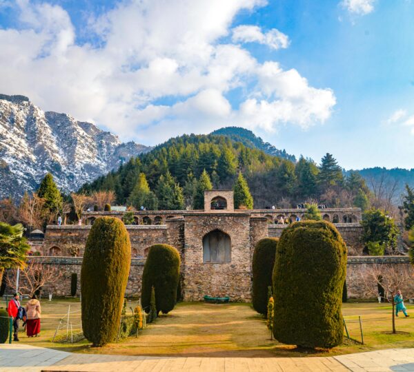 pexels-sam-clickx-24038849-15562093 (1)