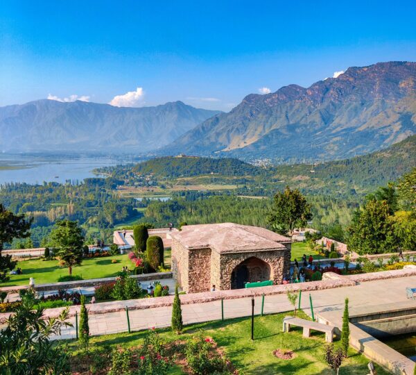 yasser-mir-f3e5C6_H7CA-unsplash